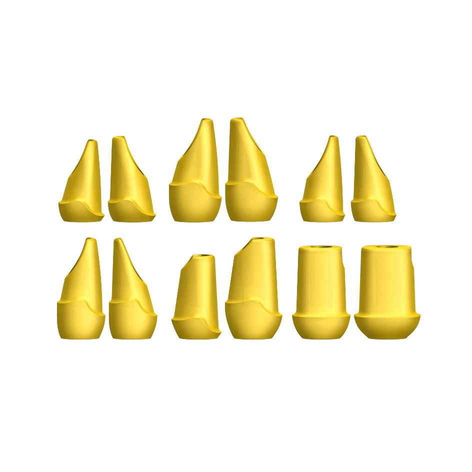 Set di monconi calcinabili per NeoLink®