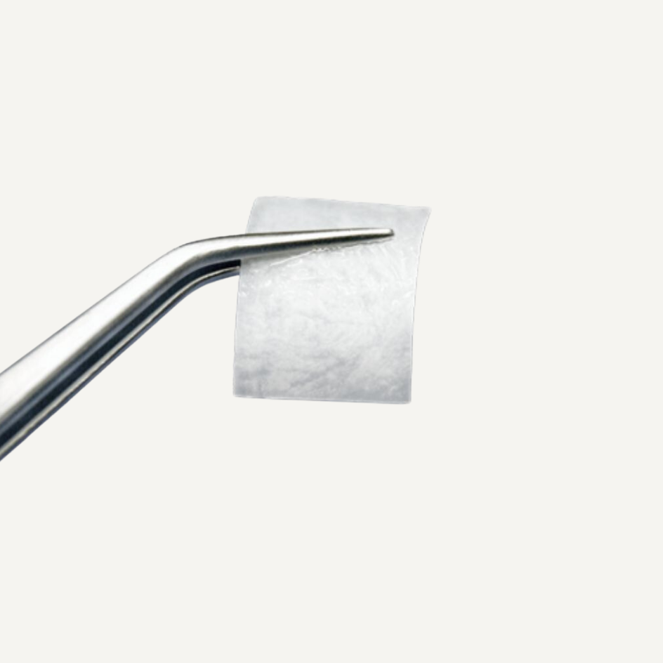 Membrana NeoGen® in collagene
